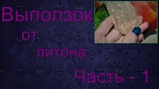 Выползок от питона. Часть - 1.
