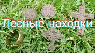 По старой лесной дороге