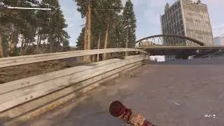 Dying Light Well Placed Grass