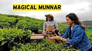 MAGICAL MUNNAR | Road Trip in God's Own Country - Kerala | Two Off To