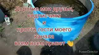 Занимаемся покраской.