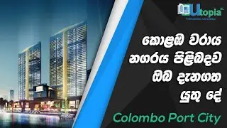 කොළඹ වරාය නගරය පිළිබදව ඔබ දැනගත යුතු දේ | Colombo Port City 2019