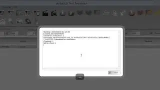 instadub server verify tutorial