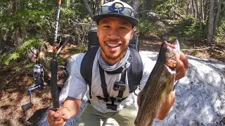 Trip to the Mountains! Scenic, Land Freedom, Catch n Cook + Baby's Surprising Reaction
