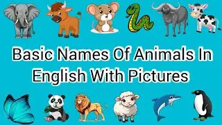 Basic Names Of Animals In English With Pictures : बच्चो के लिए जीवो के नाम : #kidssong