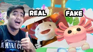 HOW TO GET AXOLTL PET FOR FREE?? ADOPT ME AXOLTL PET AGING PART TWO - ADOPT ME ROBLOX