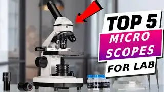 Top 5 Digital Microscope Review 2023