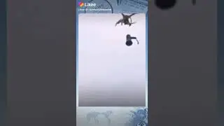 Карона вирус