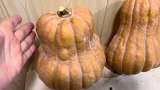Самый тыквенный сезон. Убираем печёночные пятна множеством вкуснейших тыквенных блюд