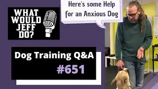 Dog Training Q&A - Help for an Anxious Dog - Stop Dogs Pawing - What Would Jeff Do?  Ep.651 (2020)