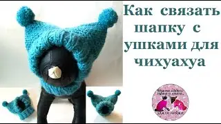 How to knit a hat with ears for a Chihuahua MK