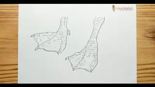 HOW TO DRAWING DUCK FEET