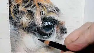 ALPACA EYE Pastel Painting Demo