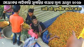 ভাই সুপারির কাউন কত নিলো | পাকা সুপারির বাজার মূল্য জানুন | Bhai Supari Koto Nilo | Mr Zahid