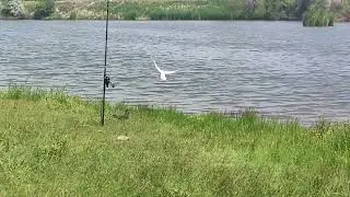Рыбалка.Балық үстадық .Демалыс күшті болды
