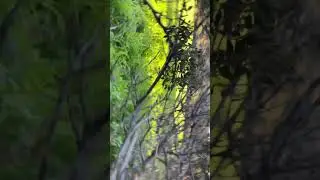 H teleftea fassa gia fetos Kai apo xronou
