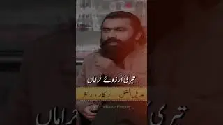 Adeel Afzal AKA Nasaaz Poetry | Teri Justujoo main niklay | Whatsapp Status