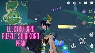 Electro Bird Puzzle in Shirikoro Peak - Tsurumi Island Puzzle