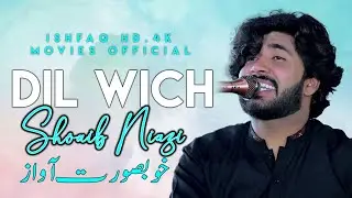 Dil Wich || Shoaib Niazi || New Latest Punjab Saraiki Song 2024