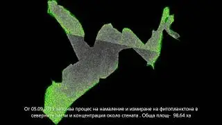 Завишено ниво на хлорофил в яз. Пчелина