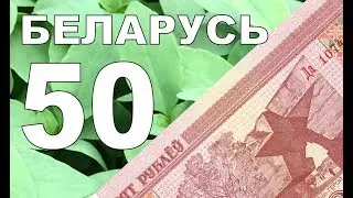 #беларусь