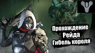 ▶Destiny 2 | Прохождение рейда 