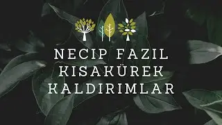 Kaldırımlar | Necip Fazıl KısaKürek