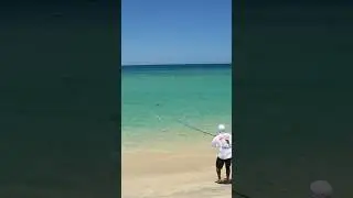 Baja fishing for Roosterfish is pure adrenaline #fishingshorts #fishing #baja #roosterfish