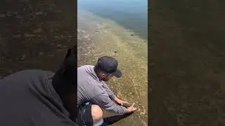 Fishing with worms #fishing #shorts