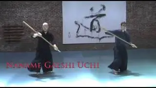 Aikido Spear, Yari Suburi of the Chushin Tani Dojo