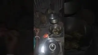 বউ রেগে ভাত খাবে না, চাউমিন খাবে