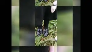 29 января 2021 г.
