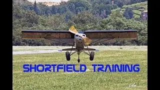 Pilot Training  |  Shortfield Landing and take-off
