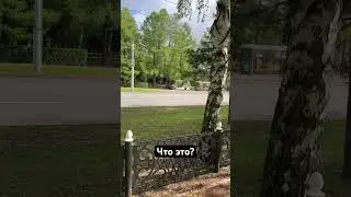 Что это такое?