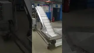 L-образный конвейер из нержавеющей стали, наклонный с бункером, для мяса, от производителя.