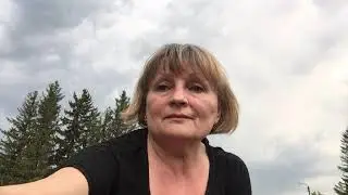 ВЫСАДКА ТОМАТОВ В ОТКРЫТЫЙ ГРУНТ  СХЕМА ПОСАДКИ