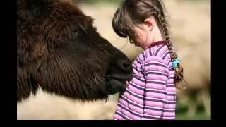 18.  Животные и люди