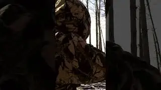 Richard takes out a trouble crow with an epic shot.  #hunting #pestcontrol #airgunning