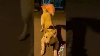Занятия на свежем воздухе.