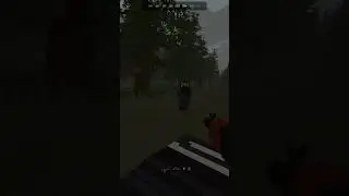 Встреча на переходе