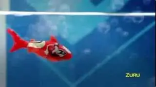 Игрушки робо рыбки ROBOFISH ZURU!- Детки Тойс интернет магазин игрушек