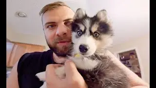 Everyone meet sky!