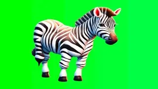 Cartoon Zebra running green screen video / Cartoon animal green screen no copyright
