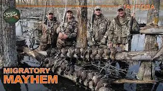 Non-Stop Duck and Goose Hunting Action in Manitoba | Canada in the Rough