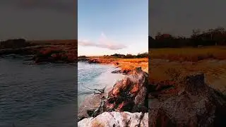 Fabulous !