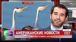 CSBSVNNQ Американские новости — выпуск #1207 от 24.02.2024