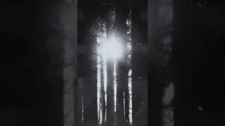 Beloroth - Katarina - Thornscape: Ghosts' Moonshine by T. L. Beddoes