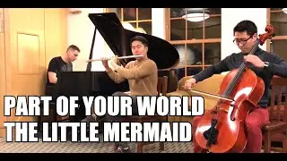 Part Of Your World - The Little Mermaid OST Flute and Cello Cover