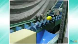 MOOC Frutura Technologies 4.7: Lateral-impact in-line firmness sensor (II)