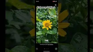 Enhance Subject | Google Photo Magic Editor